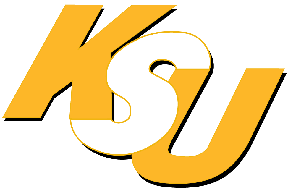 Kennesaw State Owls 0-2011 Wordmark Logo v2 diy iron on heat transfer